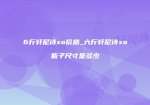 6斤轩尼诗xo价格_六斤轩尼诗xo瓶子尺寸是多少