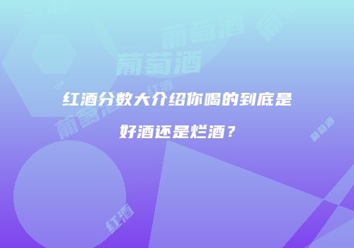 红酒分数大介绍你喝的到底是好酒还是烂酒？
