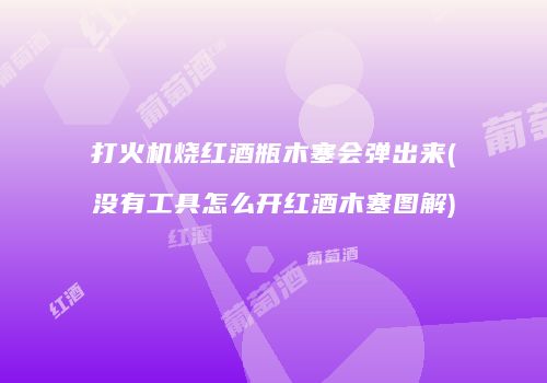打火机烧红酒瓶木塞会弹出来(没有工具怎么开红酒木塞图解)