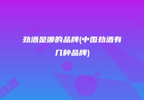劲酒是哪的品牌(中国劲酒有几种品牌)
