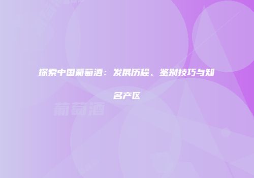 探索中国葡萄酒：发展历程、鉴别技巧与知名产区
