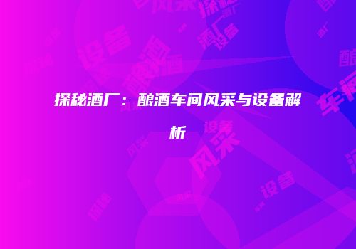 探秘酒厂：酿酒车间风采与设备解析