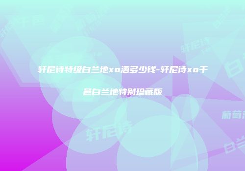 轩尼诗特级白兰地xo酒多少钱-轩尼诗xo干邑白兰地特别珍藏版