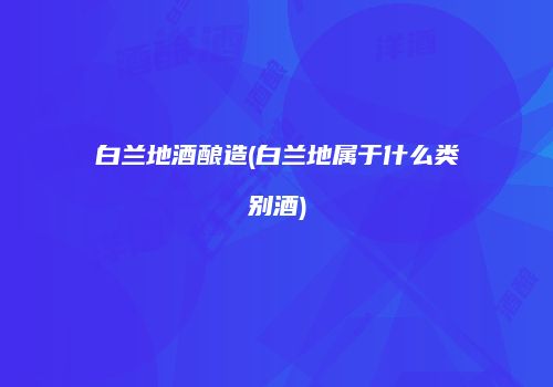 白兰地酒酿造(白兰地属于什么类别酒)