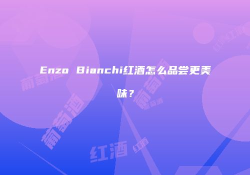 Enzo Bianchi红酒怎么品尝更美味？