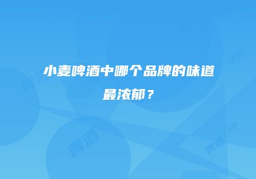 小麦啤酒中哪个品牌的味道最浓郁？