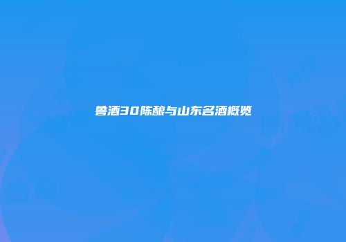 鲁酒30陈酿与山东名酒概览