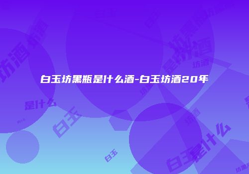 白玉坊黑瓶是什么酒-白玉坊酒20年