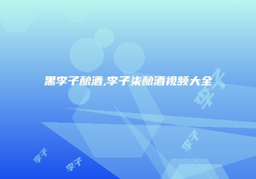 黑李子酿酒,李子柒酿酒视频大全