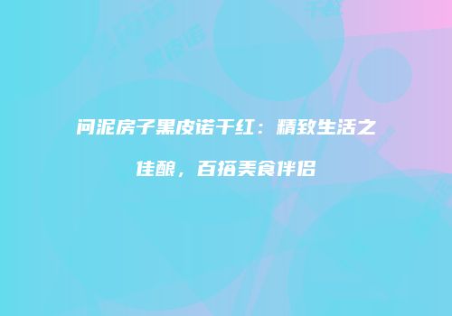 问泥房子黑皮诺干红：精致生活之佳酿，百搭美食伴侣