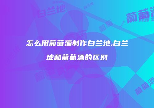 怎么用葡萄酒制作白兰地,白兰地和葡萄酒的区别