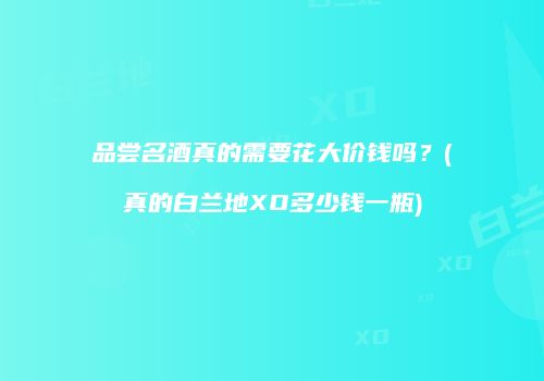 品尝名酒真的需要花大价钱吗？(真的白兰地XO多少钱一瓶)