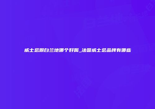 威士忌跟白兰地哪个好喝_法国威士忌品牌有哪些