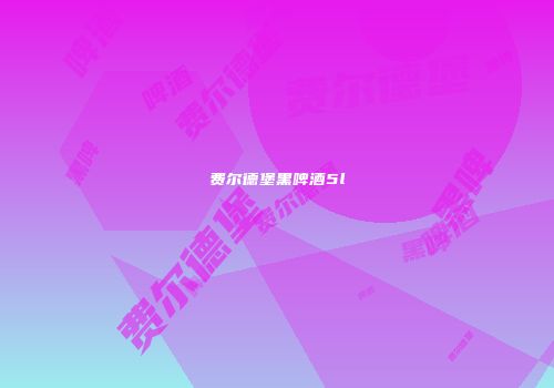 费尔德堡黑啤酒5l