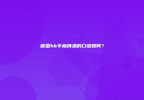德国hb亨格啤酒的口感如何？
