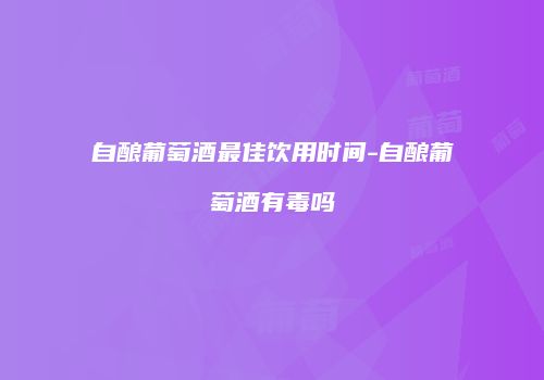 自酿葡萄酒最佳饮用时间-自酿葡萄酒有毒吗