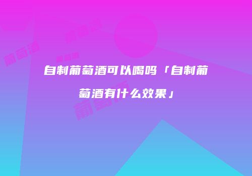 自制葡萄酒可以喝吗「自制葡萄酒有什么效果」