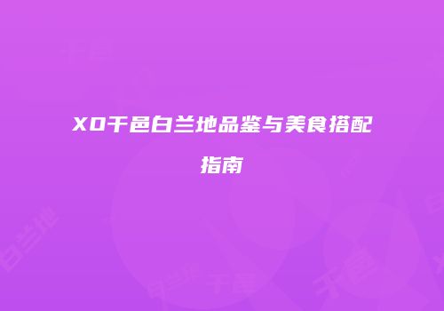 XO干邑白兰地品鉴与美食搭配指南