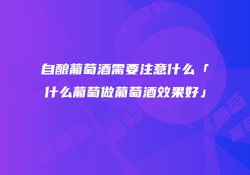 自酿葡萄酒需要注意什么「什么葡萄做葡萄酒效果好」