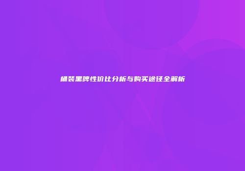 桶装黑啤性价比分析与购买途径全解析