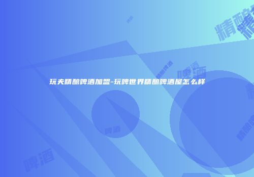 玩夫精酿啤酒加盟-玩啤世界精酿啤酒屋怎么样