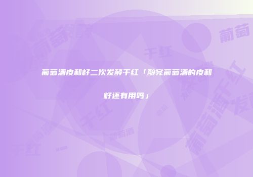 葡萄酒皮和籽二次发酵干红「酿完葡萄酒的皮和籽还有用吗」