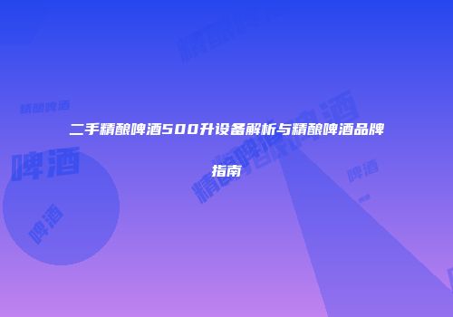 二手精酿啤酒500升设备解析与精酿啤酒品牌指南