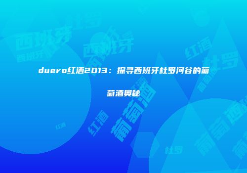 duero红酒2013：探寻西班牙杜罗河谷的葡萄酒奥秘