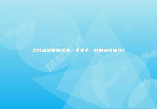 怎样品尝精酿啤酒，享受不一样的味觉体验？