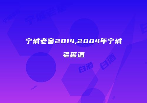 宁城老窖2014,2004年宁城老窖酒