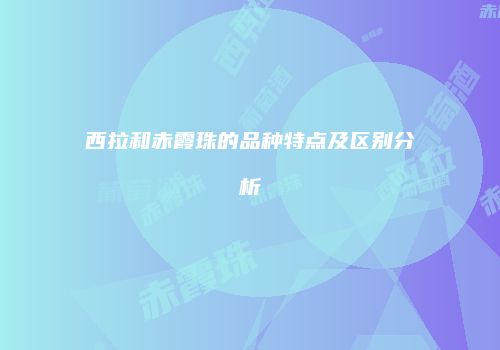 西拉和赤霞珠的品种特点及区别分析