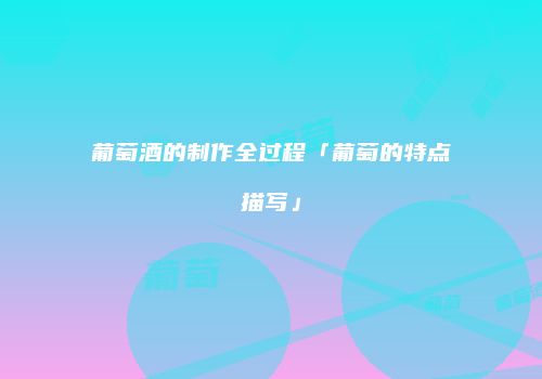 葡萄酒的制作全过程「葡萄的特点描写」