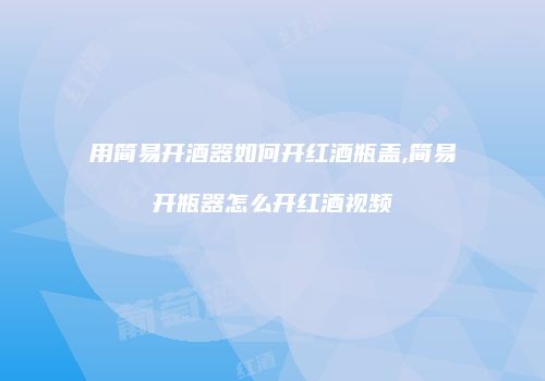用简易开酒器如何开红酒瓶盖,简易开瓶器怎么开红酒视频