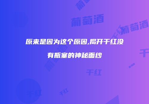 原来是因为这个原因,揭开干红没有瓶塞的神秘面纱