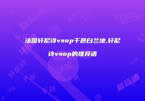 法国轩尼诗vsop干邑白兰地,轩尼诗vsop的推荐语