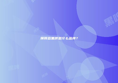 狮得森黑啤是什么品牌？