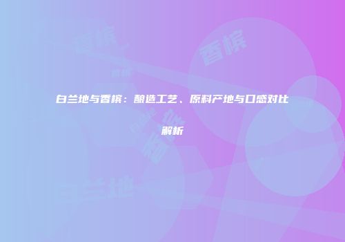 白兰地与香槟：酿造工艺、原料产地与口感对比解析