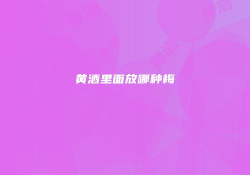 黄酒里面放哪种梅
