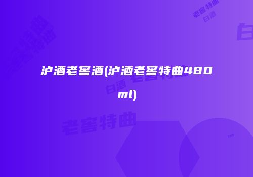 泸酒老窖酒(泸酒老窖特曲480ml)