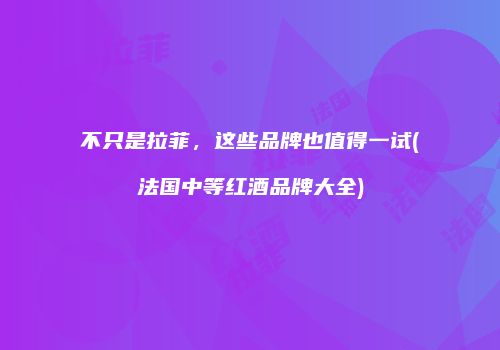 不只是拉菲，这些品牌也值得一试(法国中等红酒品牌大全)