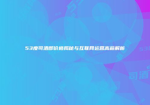53度司酒郎价格揭秘与互联网运营高薪解析