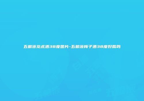 五粮液龙虎酒38度图片-五粮液梅子酒38度好喝吗