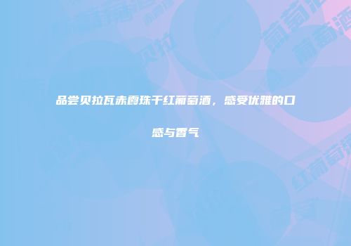 品尝贝拉瓦赤霞珠干红葡萄酒，感受优雅的口感与香气