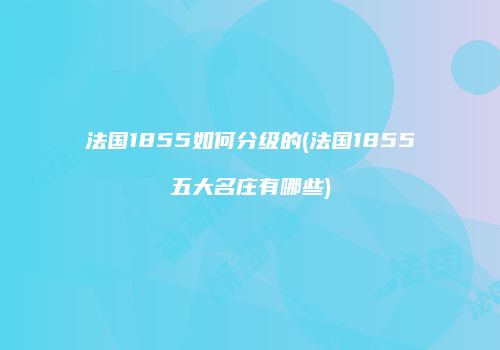 法国1855如何分级的(法国1855五大名庄有哪些)