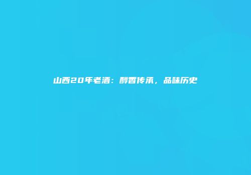 山西20年老酒：醇香传承，品味历史