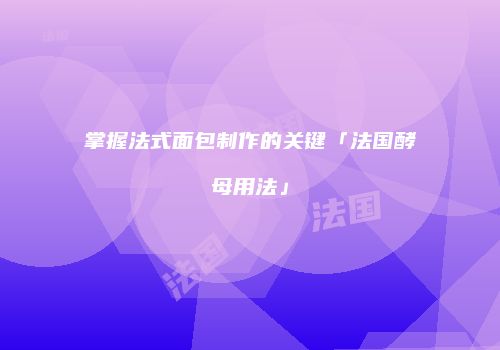 掌握法式面包制作的关键「法国酵母用法」