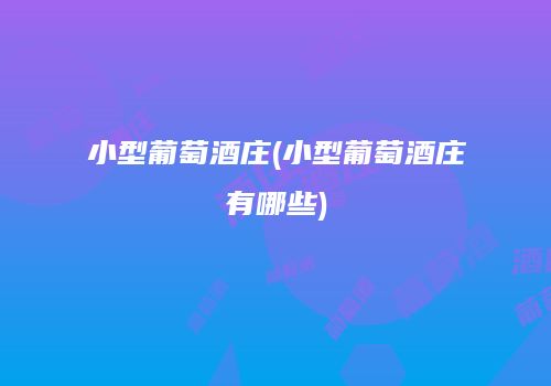 小型葡萄酒庄(小型葡萄酒庄有哪些)