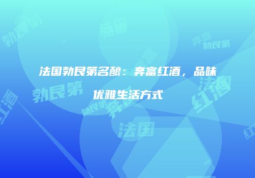 法国勃艮第名酿：奔富红酒，品味优雅生活方式