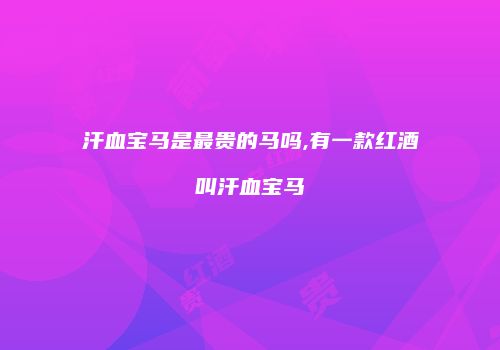 汗血宝马是最贵的马吗,有一款红酒叫汗血宝马