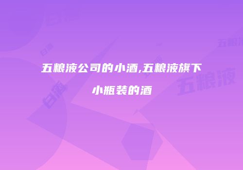 五粮液公司的小酒,五粮液旗下小瓶装的酒
